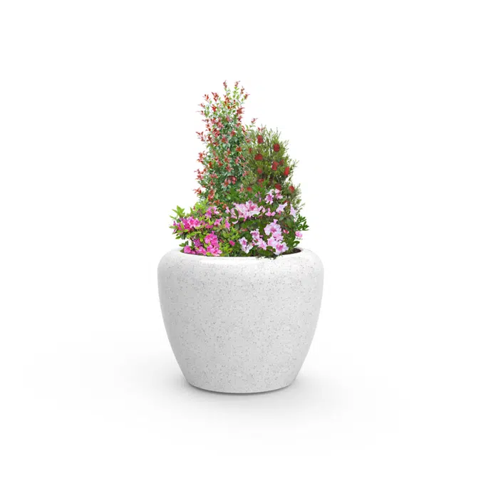 SATURNO - PLANTER