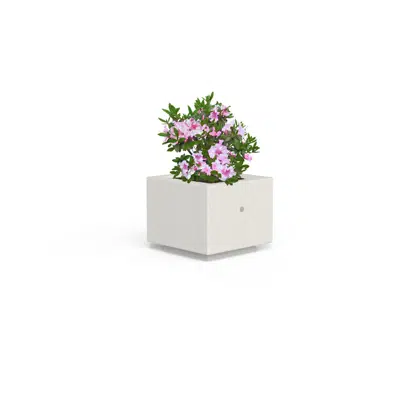 Image pour DEMETRA F - PLANTER