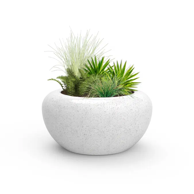 VENERE - PLANTER