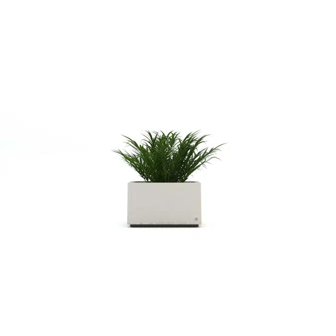 LOW - PLANTER