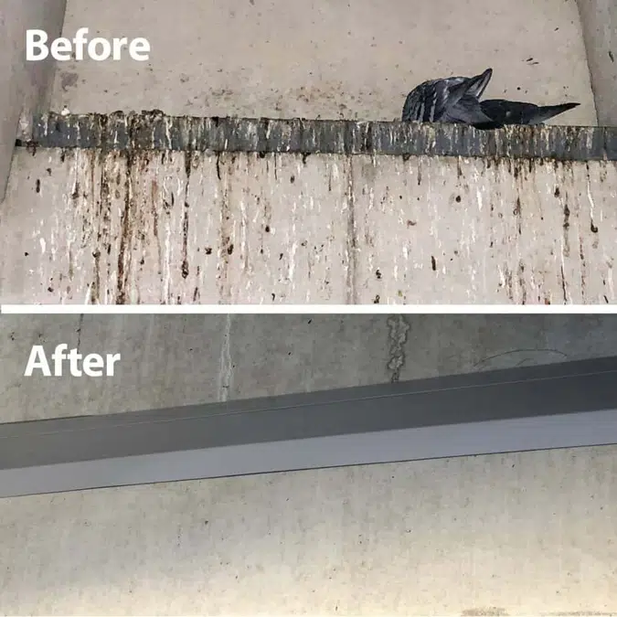 AviAngle® - Modular Ledge Exclusion System for Bird Control