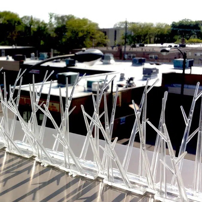 Plastic Bird Spikes - Narrow