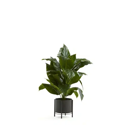 billede til Artificial Peace Lilly 1050mm