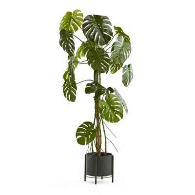 Image pour Artificial Monstera 1800mm