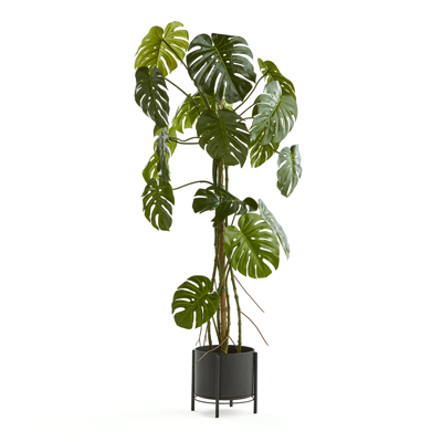 Image for Artificial Monstera 1800mm