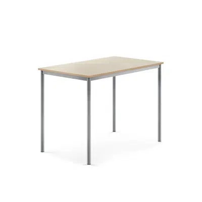 Desk BORAS rectangular 1200x800x900