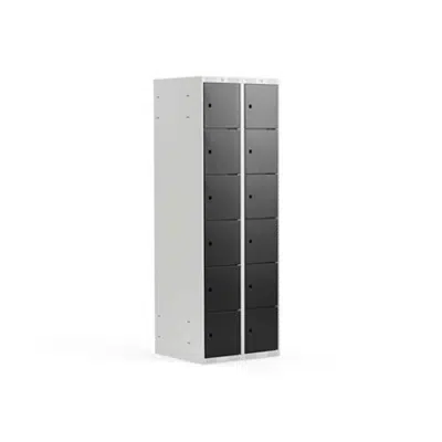 Compartment Locker Classic 600mm 2 Sections 12 Doors