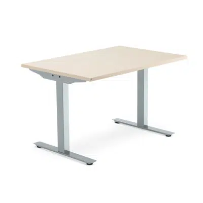 Desk MODULUS 1200x800 fixed legs, T-legs