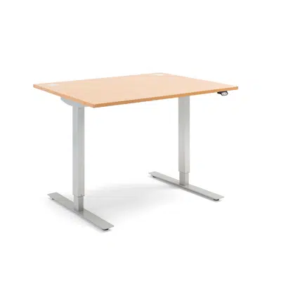 Standing desk FLEXUS 1200x800mm