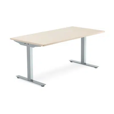 Desk MODULUS 1600x800 fixed legs T-legs