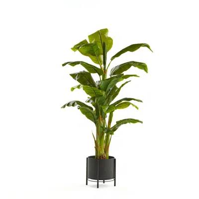 afbeelding voor Artificial banana plant 1500mm