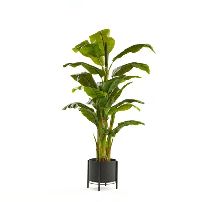 Image for Artificial banana plant 1500mm