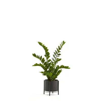 изображение для Artificial ZZ plant 1100mm