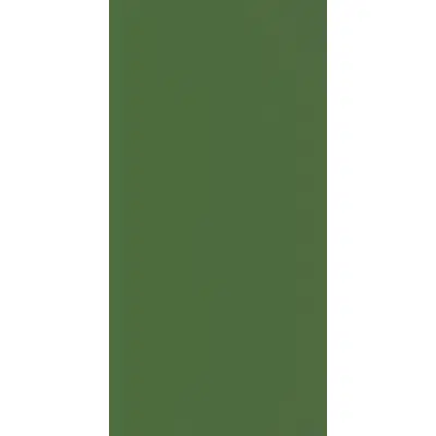 DuraSafe 245 Gum Leaf图像