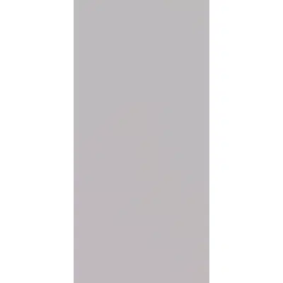 DuraSafe 923 Brushed Grey图像