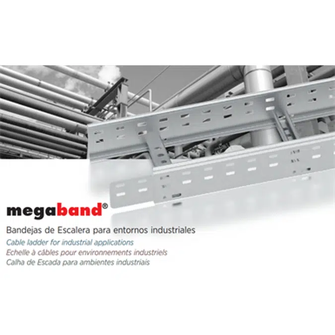 Échelle a câbles Megaband®  hauteur 100 mm