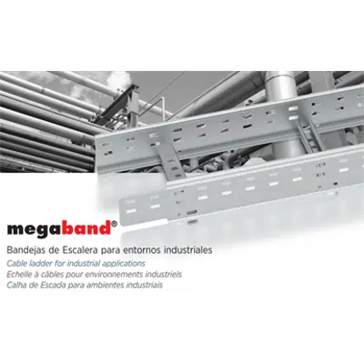 Image for Megaband®. Ladder Trays