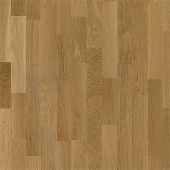 Oak Lecco Matt Lacquer