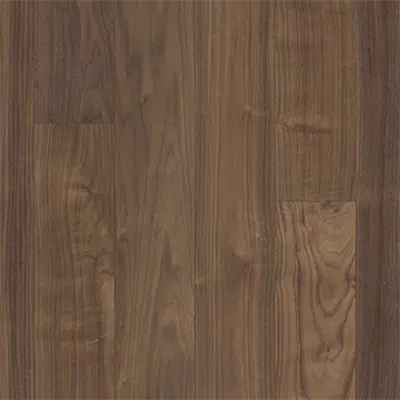 Walnut Statue图像