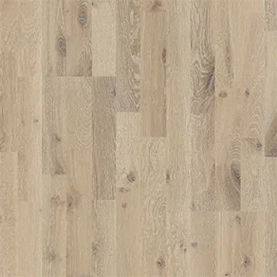 изображение для Oak Dew