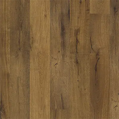 изображение для Oak Safari