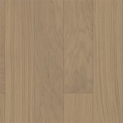 изображение для Oak Shitake