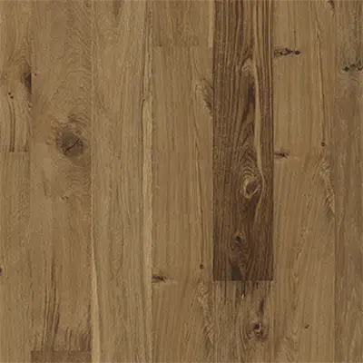 изображение для Oak Husk