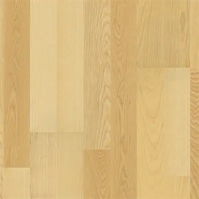 изображение для Ash Gothenburg