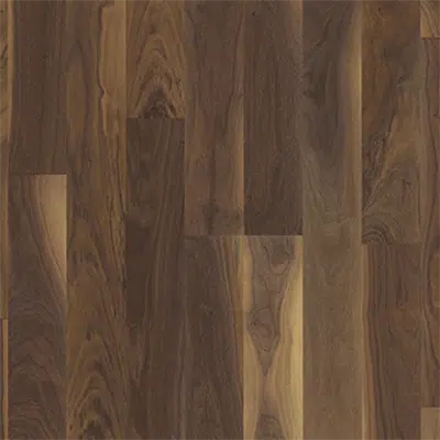 изображение для Walnut Georgia