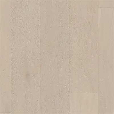 Image for Oak Dove