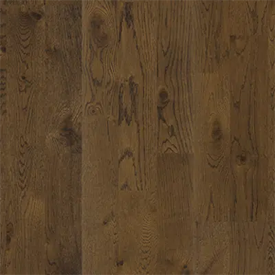 Immagine per Oak Ale