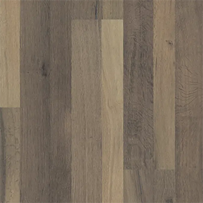 Oak Roccia