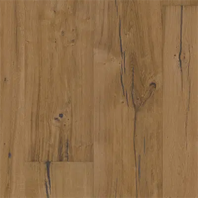 Immagine per Casa Oak
