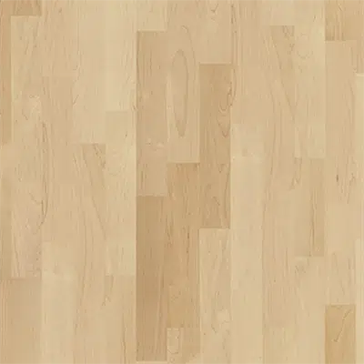 kuva kohteelle Hard Maple Toronto