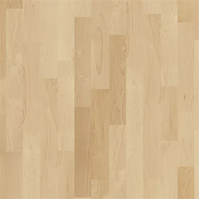 Hard Maple Toronto