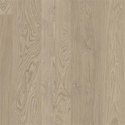 Image for Oak Coast