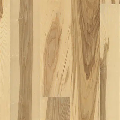 Image for Ash Gotland