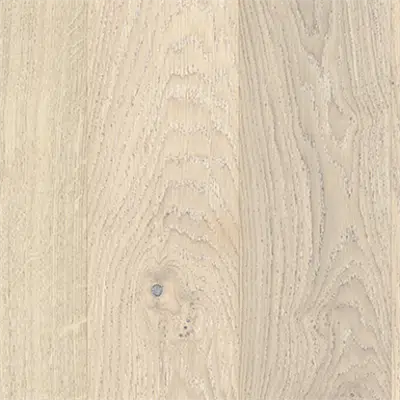 Image pour Oak Nouveau Blonde