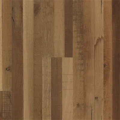 Image pour Oak Indietro