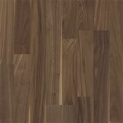 bild för Walnut Rain