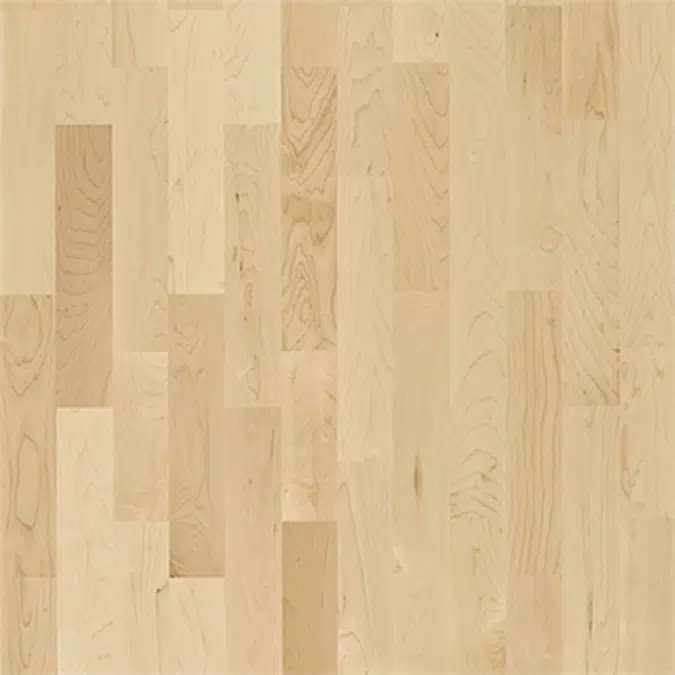 Hard Maple Activity Floor