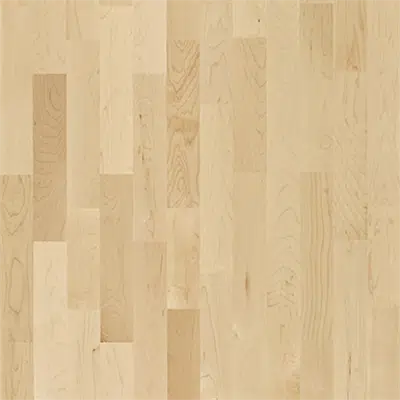 Image for Hard Maple Activity Floor