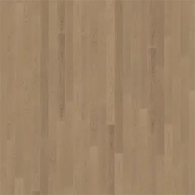 Image for Oak Prague