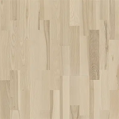 Image for Ash Ceriale
