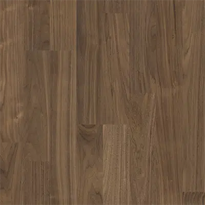 Image for Walnut Bloom