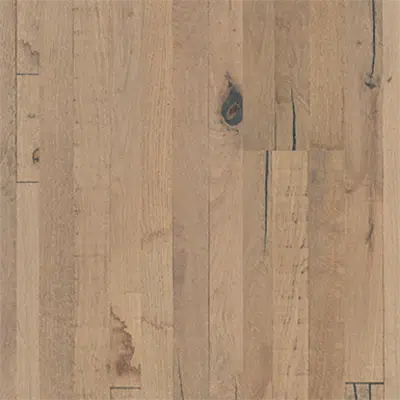 Image for Oak Anziano