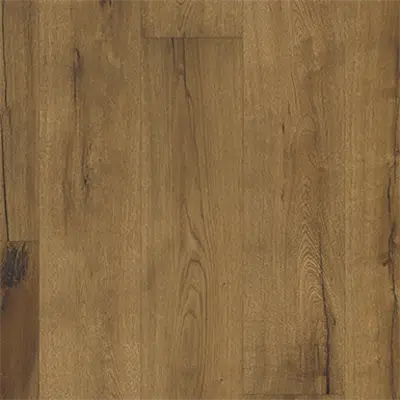изображение для Oak Tan