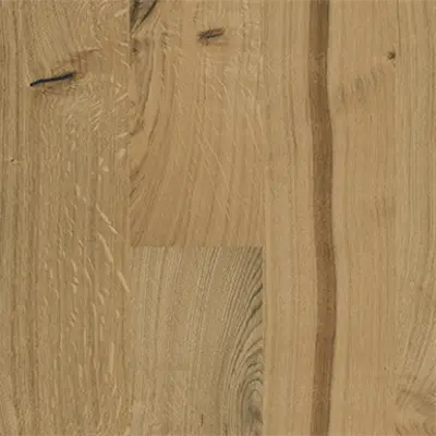 Image pour Oak Village