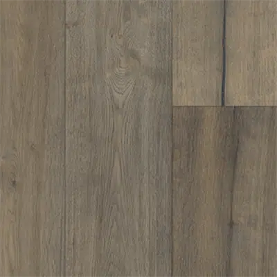 Immagine per Oak Foschia