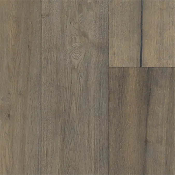 Oak Foschia